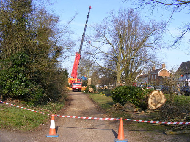 Tree Removal Boughton